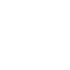 Dongfeng